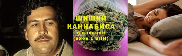 PSILOCYBIN Ладушкин