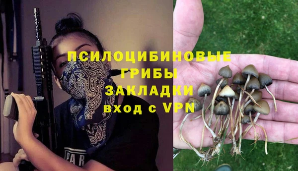 мет Лагань