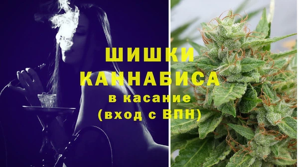 мет Лагань