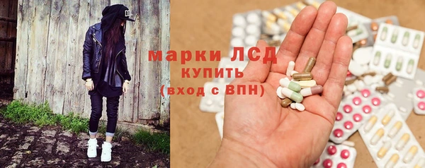 PSILOCYBIN Ладушкин