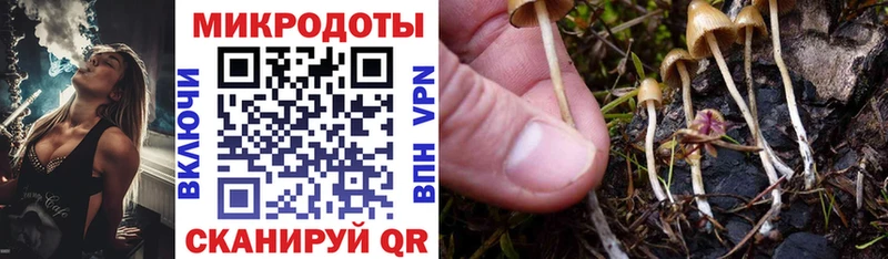 Псилоцибиновые грибы мухоморы  Лиски 